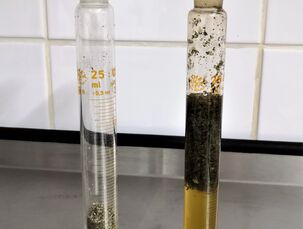 Stanovení bobtnavosti - dělá se např. u lnu, psyllia,... (analytické zpracování)