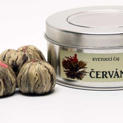 Červánky