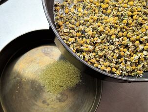 Posouzení kvality heřmánku sítováním (analytické zpracování)