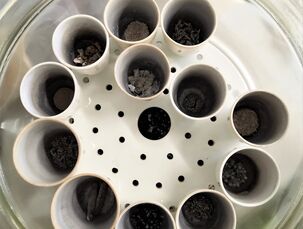 Stanovení popela (zkouška na stanovení anorganického znečištění bylin) - vzorky po spálení v muflové peci (analytické zpracování)