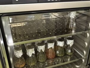 Termostat - kultivace Salmonelly (mikrobiologické zpracování)