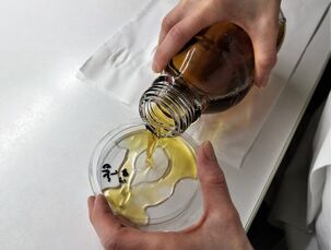 Zalívání Petriho misek kultivačním médiem - stanovení plísní (mikrobiologické zpracování)