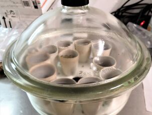 Stanovení popela (zkouška na stanovení anorganického znečištění bylin) - vyžíhané kelímky v exikátoru (analytické zpracování)