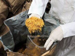 Odebírání vzorků pro laboratoř