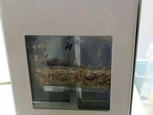 Homogenizátor (mikrobiologické zpracování)