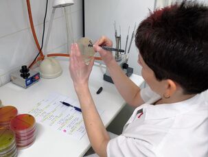 Kvantitativní odečítání plísní (mikrobiologické zpracování)