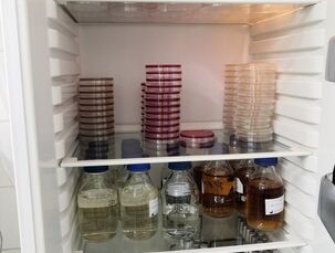 Lednice s kultivačními médii na mikrobiologii