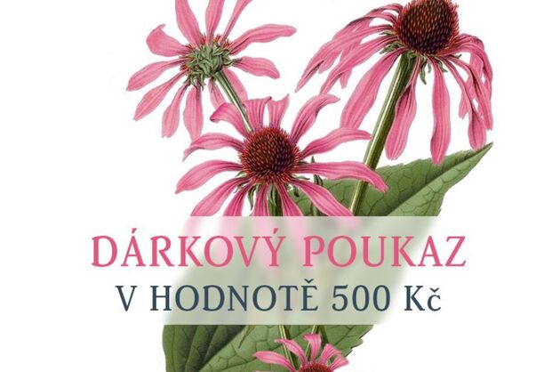 DÁRKOVÝ POUKAZ