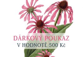DÁRKOVÝ POUKAZ