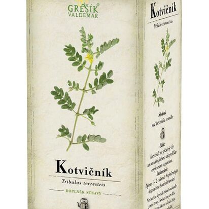 Kotvičník