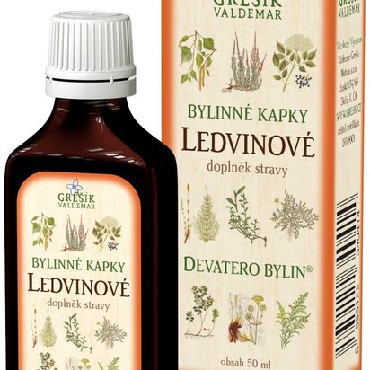 Ledvinové