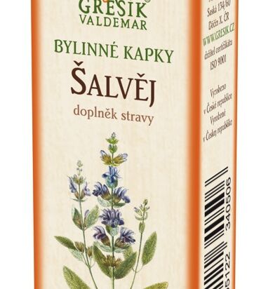 Šalvěj