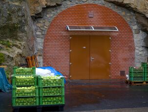 Skladovací štola v pískovcové skále I