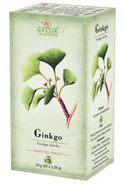 Ginkgo