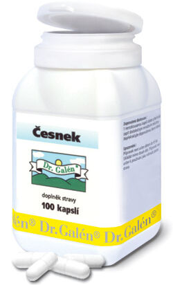 Česnek