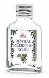 Pálenka z černého rybízu 100 ml