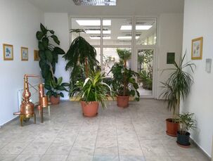 Zde se vše vyrábí