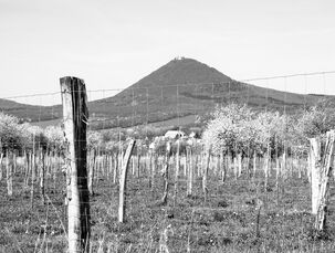 Milešovka za sadem ČB