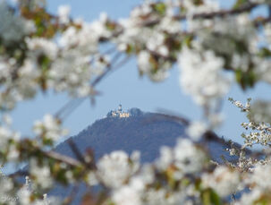 Pohled na Milešovku
