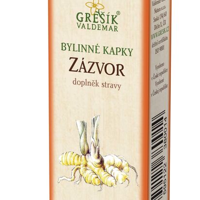 Zázvor
