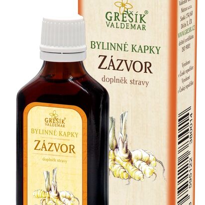 Zázvor