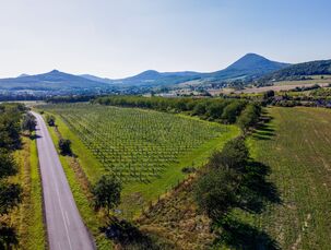 Sady v Českém středohoří