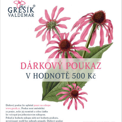 Dárkový poukaz 500 Kč