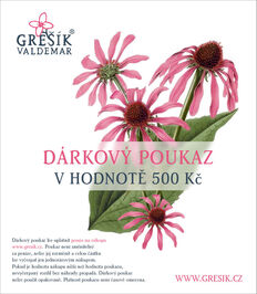 Dárkový poukaz 500 Kč