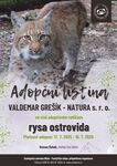 Rys ostrovid